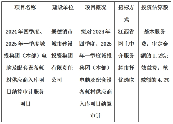 2024年四季度、2025年一季度城投集團（本部）電腦及配套設備耗材供應商入庫項目結算審計服務項目計劃公告